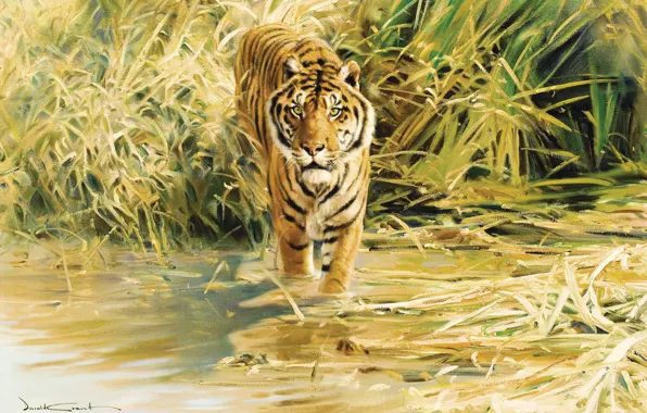 Картинка тигр, рисунок, живопись, Tiger, Donald Grant