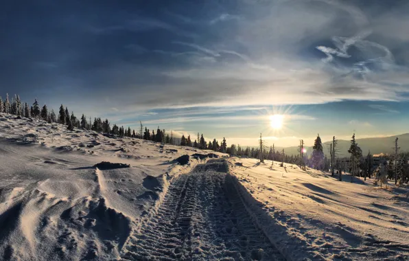 Картинка зима, дорога, небо, солнце, снег, пейзаж, природа, фото