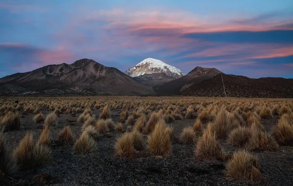 Картинка небо, снег, горы, вечер, кусты, Боливия
