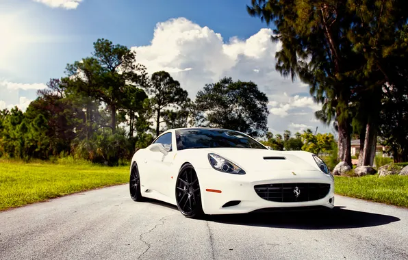 Картинка белая, Ferrari, California, лошадка