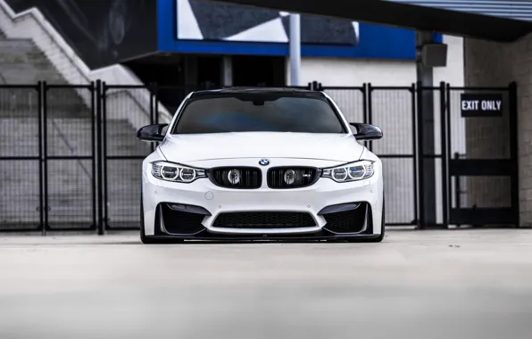 BMW, Front, White, Face, F82, Sight