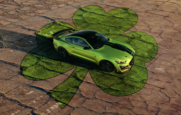 Mustang, Ford, Shelby, GT500, 2019