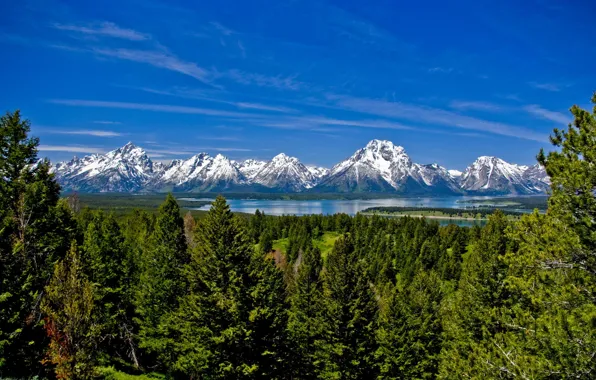 Картинка снег, озеро, Горы, Вайоминг, USA, Wyoming, деревья., Тетон