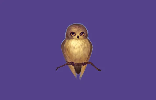 Фиолетовый, сова, птица, ветка, owl