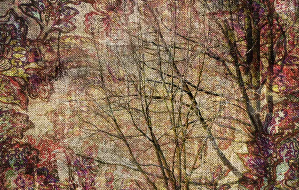 Лес, необычное, wall, forest