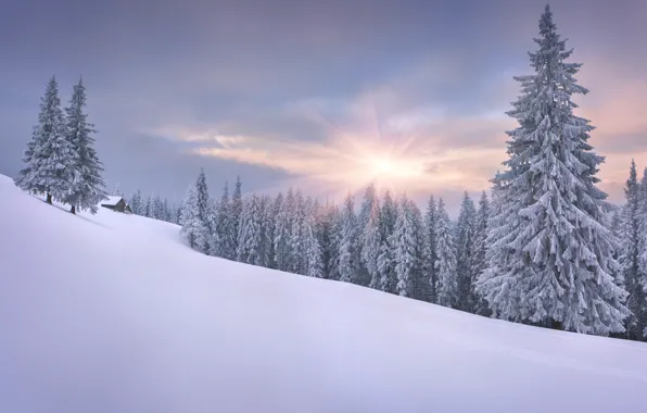 Картинка зима, солнце, снег, склон, домик, ёлки