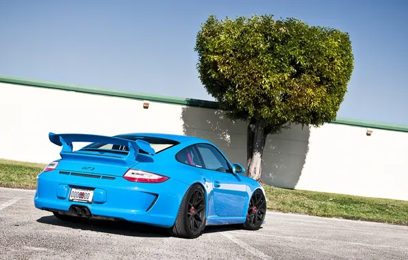 Небо, дерево, голубой, тюнинг, забор, 911, Porsche, суперкар
