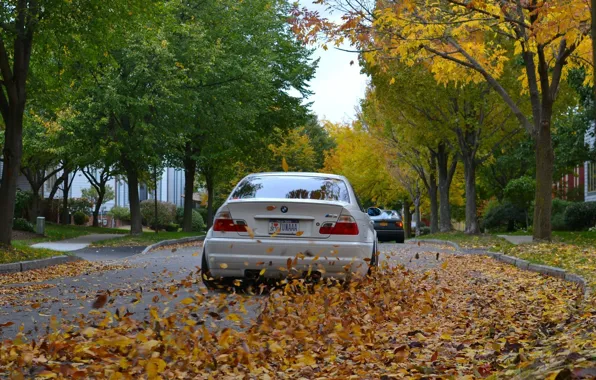 Дорога, осень, листья, BMW, Белая, Coupe, E46