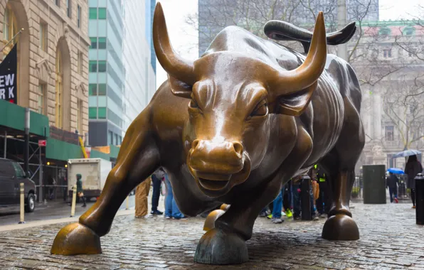 New York, pose, bronze bull