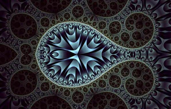 Капля, петля, FractalDesire