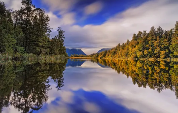 Осень, лес, деревья, горы, озеро, отражение, Новая Зеландия, New Zealand