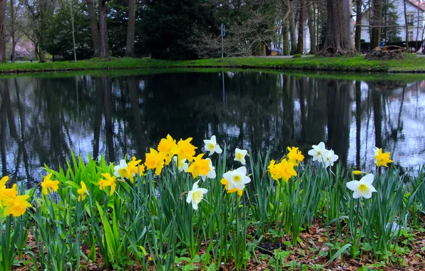 Park, lake, pond
