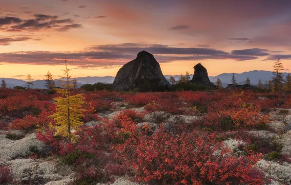 Осень, камни, скалы, листва, кусты