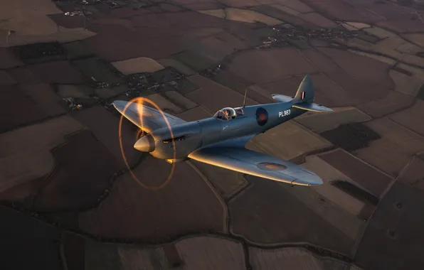 Картинка Винт, Истребитель, Земля, Spitfire, RAF, Вторая Мировая Война, Supermarine Seafire, Spitfire PR.Mk XI