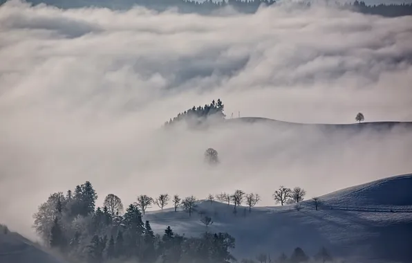 Картинка зима, облака, снег, деревья, горы