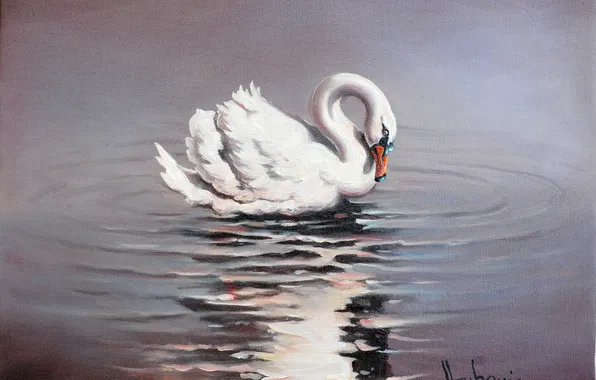 Картинка белый, вода, отражение, лебедь, живопись