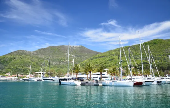 Море, побережье, яхты, Черногория, Ядран, Montenegro, Tivat