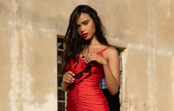 Long hair, Lupe, model, brunette, red lips, gorgeous, photoshoot, posing
