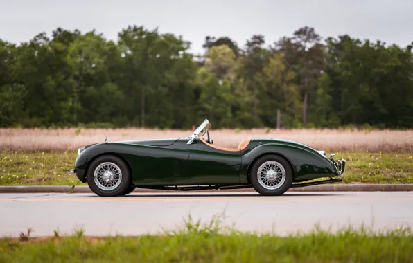 Картинка Jaguar, 1954, XK120, Jaguar XK120 SE Roadster