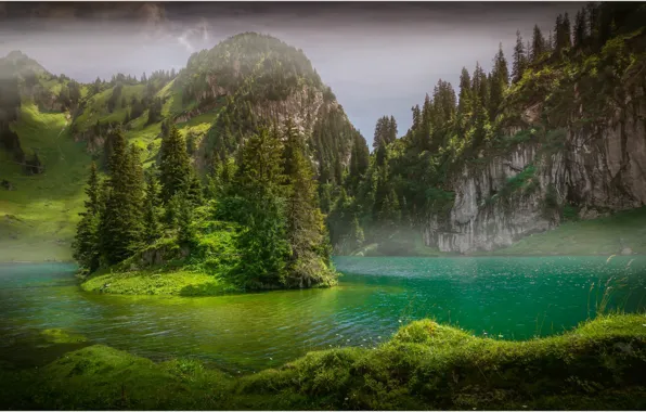Картинка деревья, озеро, остров