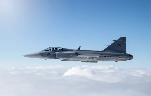 Gripen, многоцелевой истребитель, Saab JAS, 39C