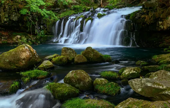 Зелень, лето, трава, вода, камни, берег, растительность, водопад