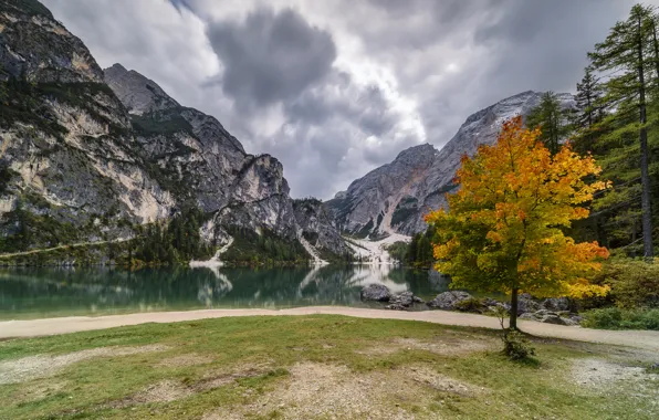 Осень, облака, горы, озеро, дерево, берег, Альпы