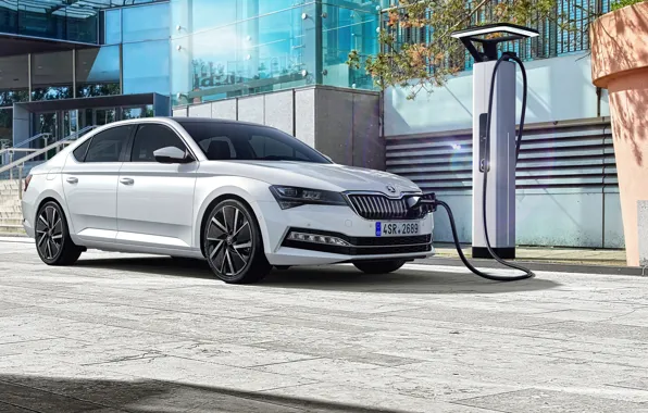 Skoda, Superb, 2019, Superb iV