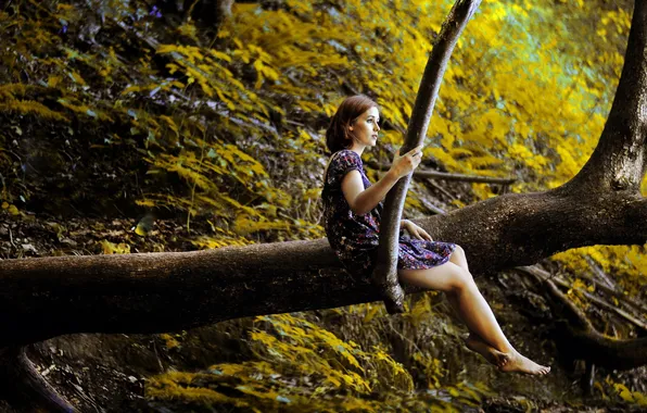 Лес, девушка, деревья