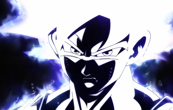 Goku, dragon ball, ultra instinct perfected, dragon ball super, Goku Ultra, Ultra instinct