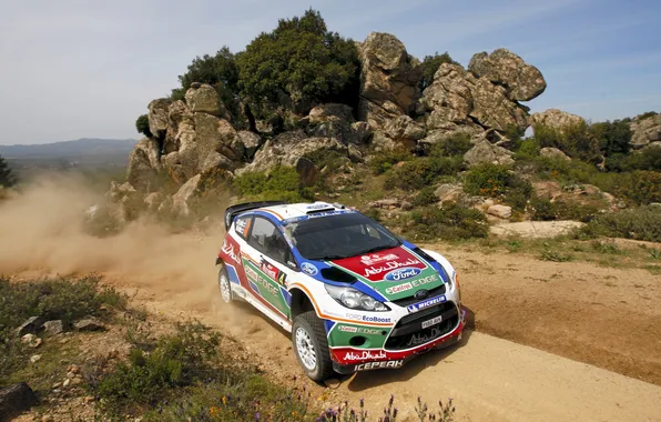 Ford, Спорт, Машина, Форд, Гонка, Капот, День, WRC