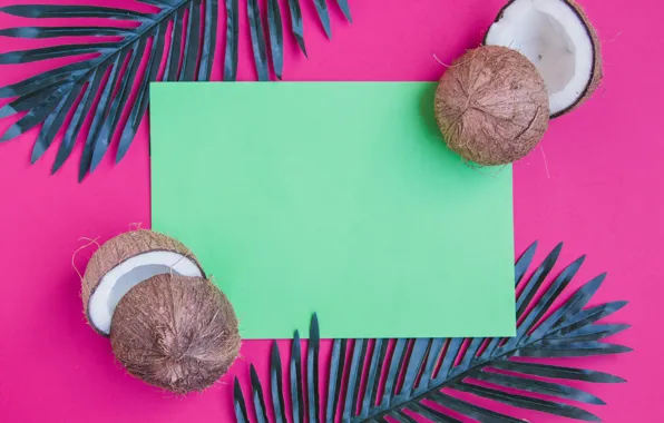 Листья, лист, кокос, flowers, leaves, coconut