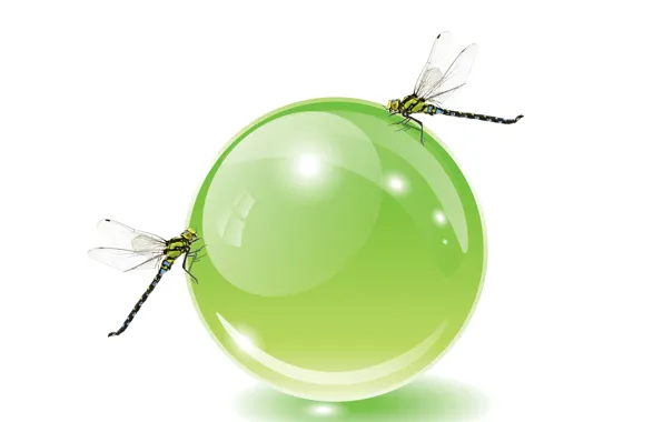 Dragonflies, light green color, cristal ball