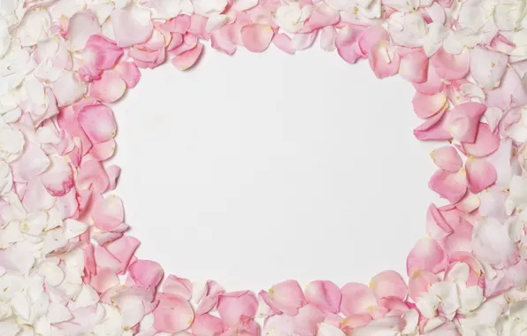 Картинка фон, лепестки, розовые, pink, background, petals, frame, floral