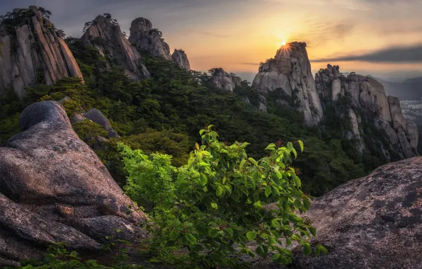 Горы, скалы, растительность