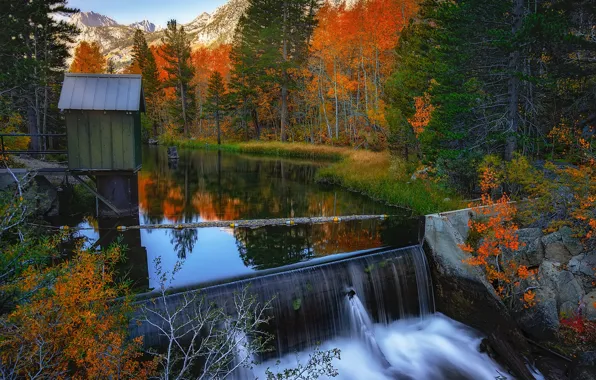 Картинка осень, лес, деревья, озеро, водопад, Калифорния, домик, California