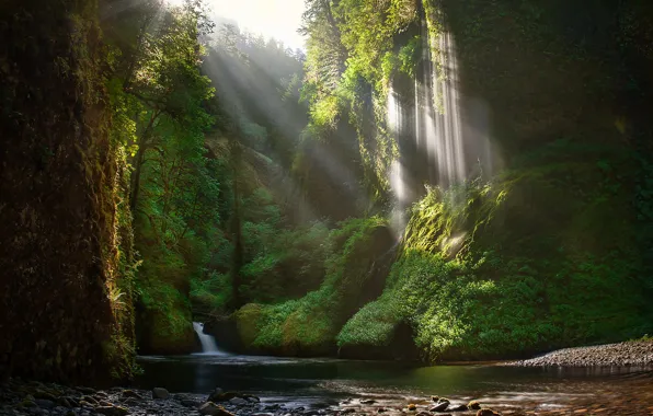 Картинка лес, скалы, водопад