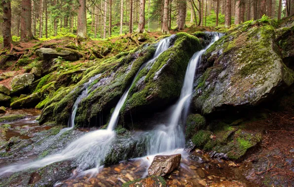 Картинка лес, камни, водопад, мох, поток, валуны