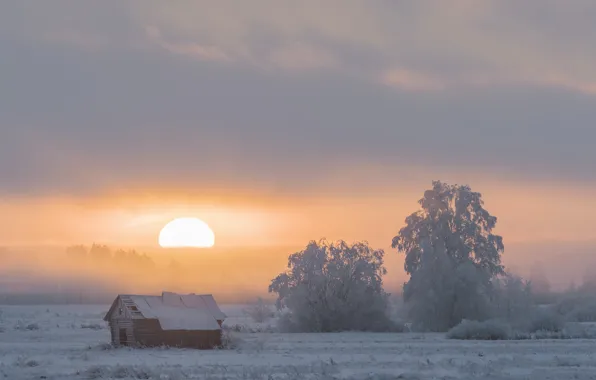 Картинка зима, закат, природа, туман, дом