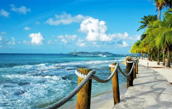 Волны, пальмы, океан, набережная, Карибы, Caribbean Sea