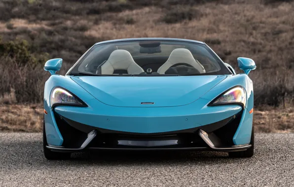 McLaren, суперкар, вид спереди, 2018, Spider, 570S