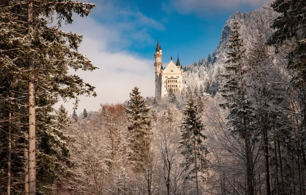 Зима, лес, деревья, замок, Германия, Бавария, Germany, Bavaria
