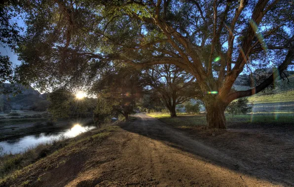 Дорога, лучи, свет, деревья, пейзаж, природа, HDR, Калифорния