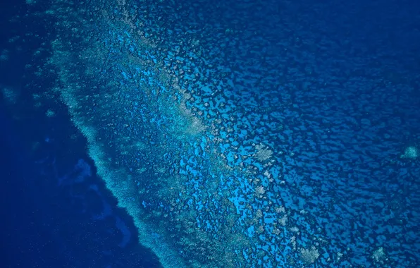 Картинка sea, blue, fine, coral