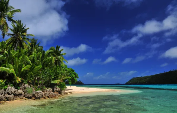 Картинка beach, sky, sea, blue, water, clouds, tree, sand