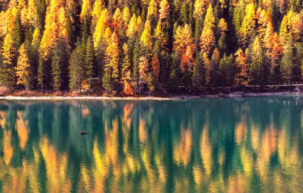 Картинка осень, лес, солнце, деревья, озеро, лодка, Альпы, Италия