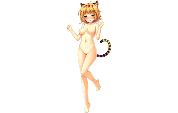Kawaii, pussy, nipples, boobs, breast, blush, anime, tail