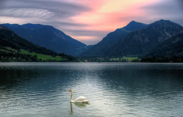 Картинка закат, горы, Бавария, лебедь, Тегернзее, озро