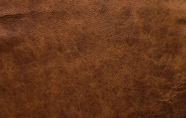 Close-up, macro, leather, leather textures, brown backgrounds, brown leather texture, leather backgrounds