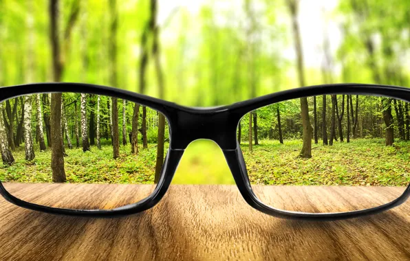 Картинка forest, land, glasses, increase